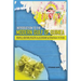An Introduction to the Modern Gulf of Guinea: People, History, Political Economy & Strategic Future