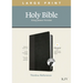 KJV Large Print Thinline Reference Bible, Filament Enabled Edition (Red Letter, Leatherlike, Black/Onyx, Indexed)