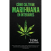 Cómo cultivar marihuana en interiores: Una guía paso a paso para principiantes en el cultivo de marihuana de alta calidad en interiores