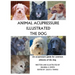 Animal Acupressure Illustrated The Dog