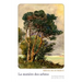 La Matiere Des Arbres