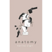 Anatomy