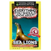 Everything You Should Know About: : Sea Lions
