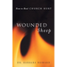 Wounded Sheep: How to Heal Church Hurt