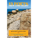 13 Poets from Long Island