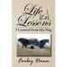 Life Lessons I Learned from My Dog