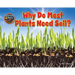 Why Do Most Plants Need Soil?