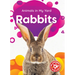 Rabbits
