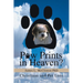 Paw Prints in Heaven?: Christians and Pet Loss