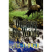 Outlaws in the Big Woods