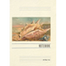 Vintage Lined Notebook Seashell Greetings from Stuart, Florida
