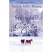 Snowfall at Catoctin Creek