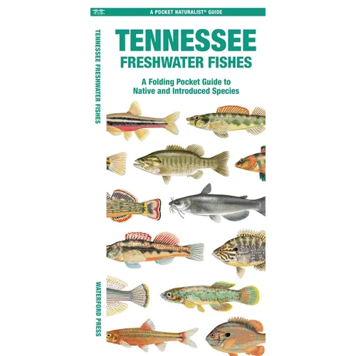 Tennessee Freshwater Fishes: A Folding Pocket Guide to Native and Introduced Species