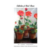 Collection of Short Stories