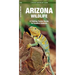 Arizona Wildlife: A Folding Pocket Guide to Familiar Animals