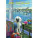 The Herringbone Harbor Mystery