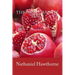 The Pomegranate Seeds
