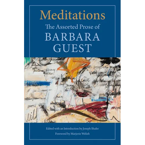 Meditations: The Assorted Prose of Barbara Guest