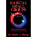 Radical Small Groups: Reshaping Community to Accelerate Authentic Life Change