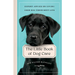 The Little Book of Dog Care: Expert Advice on Giving Your Dog Their Best Life