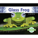 Glass Frog