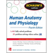 Schaum's Outline of Human Anatomy and Physiology: 1,440 Solved Problems + 20 Videos