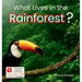 What Lives in the Rainforest?: A rhythmic journey through the rainforest-designed for every learner.