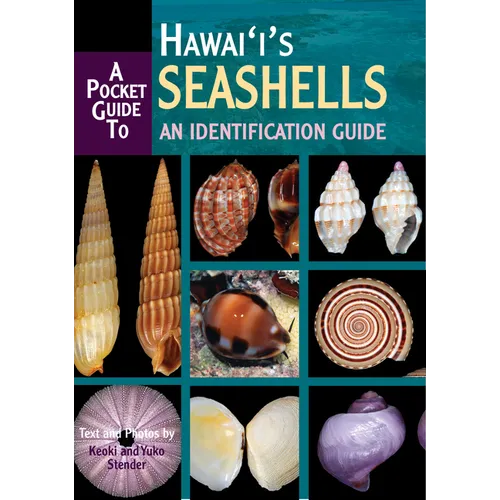 A Pocket Guide to Hawaii's Seashells: An Identification Guide