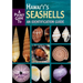 A Pocket Guide to Hawaii's Seashells: An Identification Guide