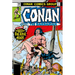 Conan the Barbarian: The Original Comics Omnibus Vol.4