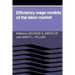 Efficiency Wage Models of the Labor Market