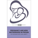 Pregnancy and New Motherhood in Prison