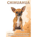 Chihuahua: Fun Fact on Dogs for Kids #13
