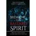 Breaking the Bastard Spirit: Why the church needs fathers now more than ever!