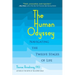 The Human Odyssey: Navigating the Twelve Stages of Life