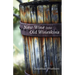 New Wine Into Old Wineskins