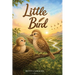 Little Bird