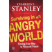 Surviving in an Angry World: Finding Your Way to Personal Peace