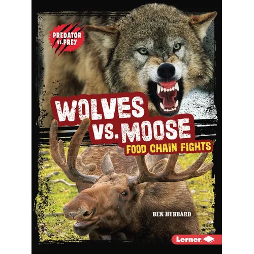 Wolves vs. Moose: Food Chain Fights