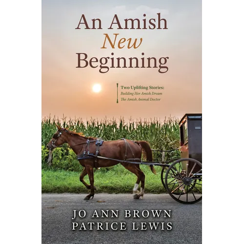 An Amish New Beginning