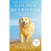 Dog Training Books Golden Retriever: Training Your Dog Within 5-Week Using the Power of Positive Reinforcement (Golden Retriever Edition)