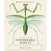 Innumerable Insects: The Story of the Most Diverse and Myriad Animals on Earth