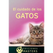 El cuidado de los gatos