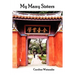 My Many Sisters, the Journal of a Volunteer with the Daughters of Charity