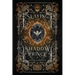 Slaying the Shadow Prince