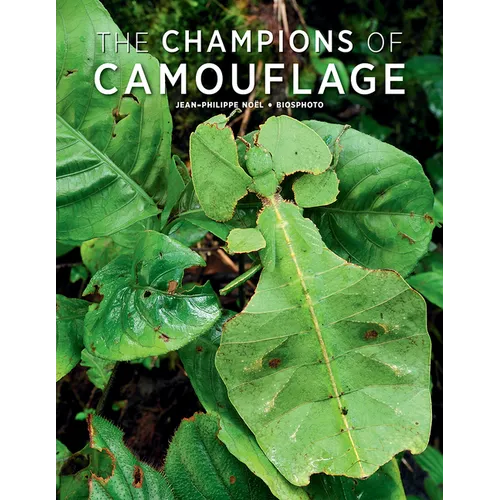The Champions of Camouflage