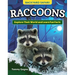 Kids' Backyard Safari: Raccoons: Explore Their World and Learn Fun Facts