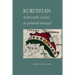 Kurdistan: Achievable Reality or Political Mirage
