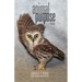 Animal Purpose: Poems