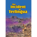 The Incident at Terlingua
